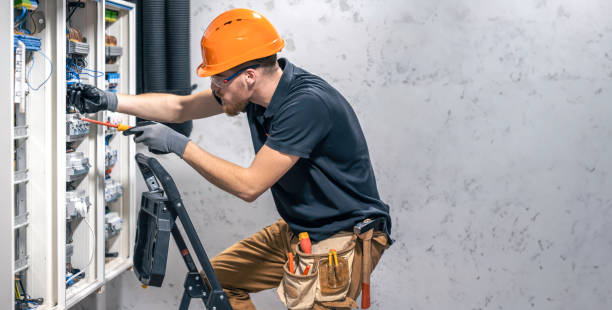 Best Electrical System Inspection  in Staunton, IL